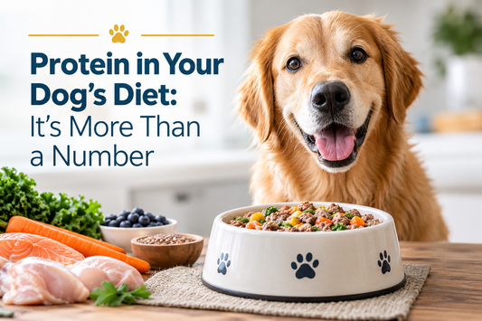 Protein in Your Dog’s Diet: Why It’s More Than a Number
