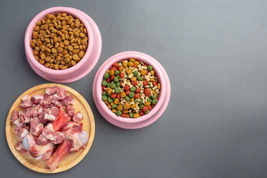 The Great Debate: Raw vs. Gently Cooked Dog Food