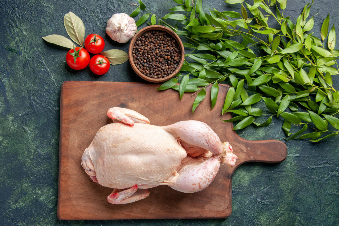 Why Chicken in Homemade Dog Food Gets a Bad Rap — and Why It Shouldn’t