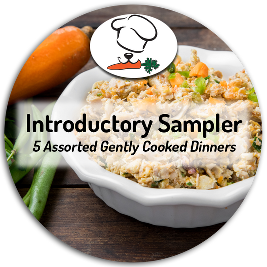 Introductory Sampler