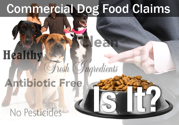 What is the outlet best commercial dog food