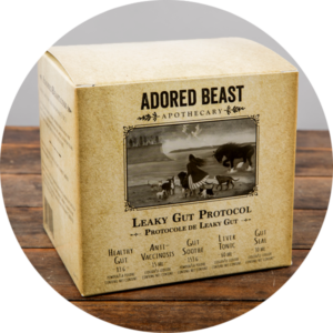 Adored Beast Leaky Gut Protocol