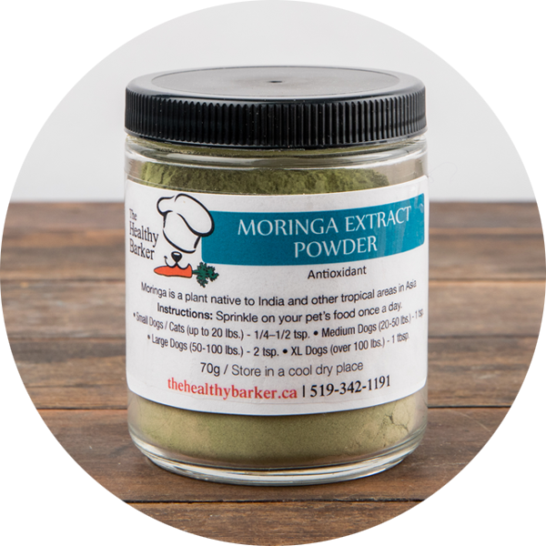 Moringa Extract Powder, 70g