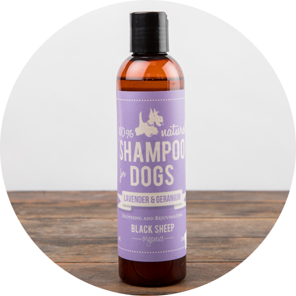 Black Sheep Organics Lavender and Geranium Shampoo for Dogs, 236ml