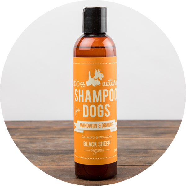 Black Sheep Organics Mandarin and Orange Shampoo, 236ml
